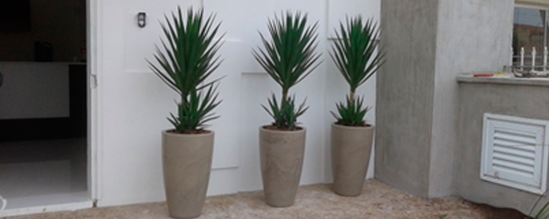 Paisagismo e soluções em jardinagem para sua empresa