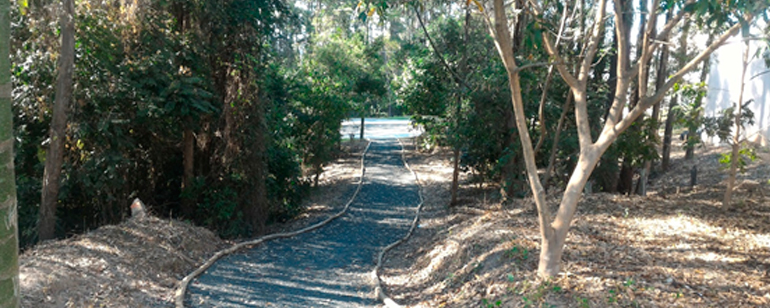 Projetos, execução e manutenção de área verde em condomínios