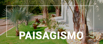 Paisagismo